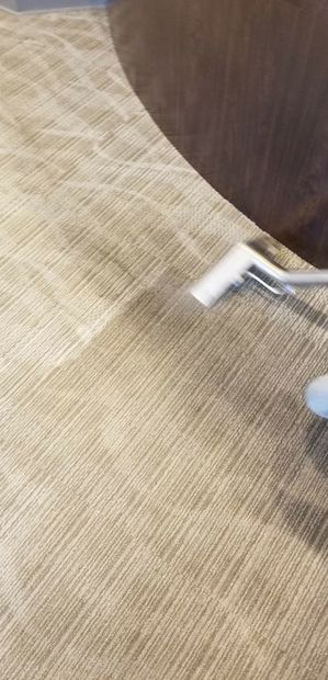 Commercial Carpet Cleaning in Cleveland